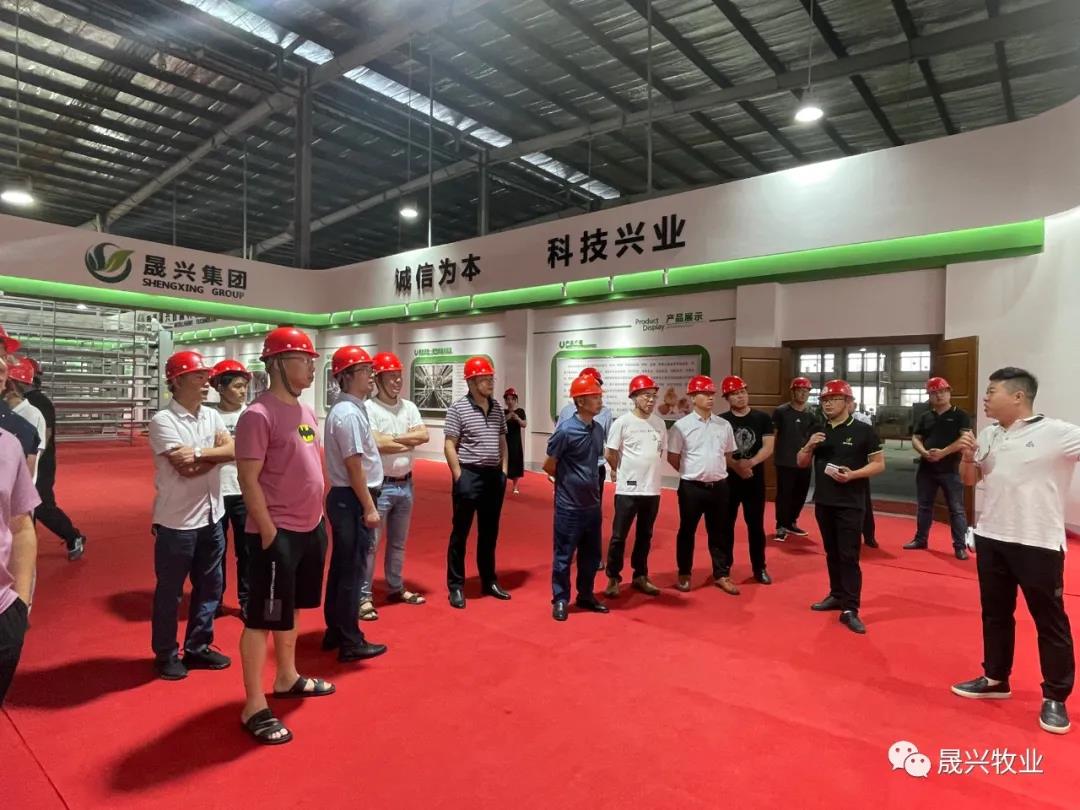 ��ʱ��Ϸ��(�й�)����