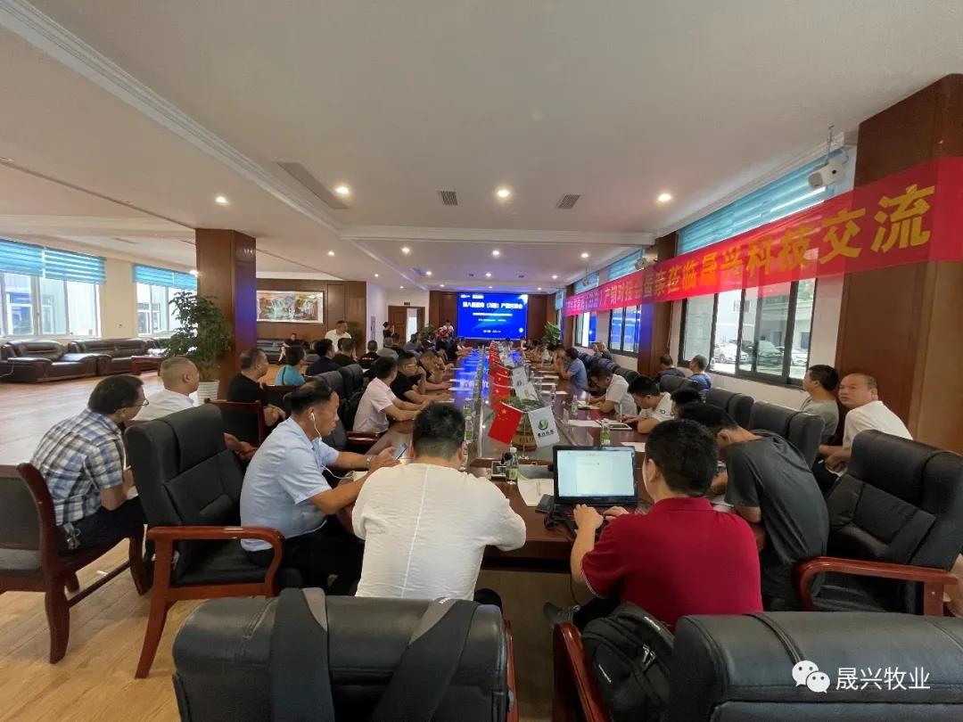 ��ʱ��Ϸ��(�й�)����