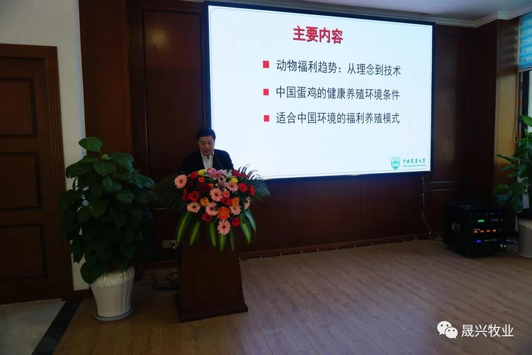 ��ʱ��Ϸ��(�й�)����