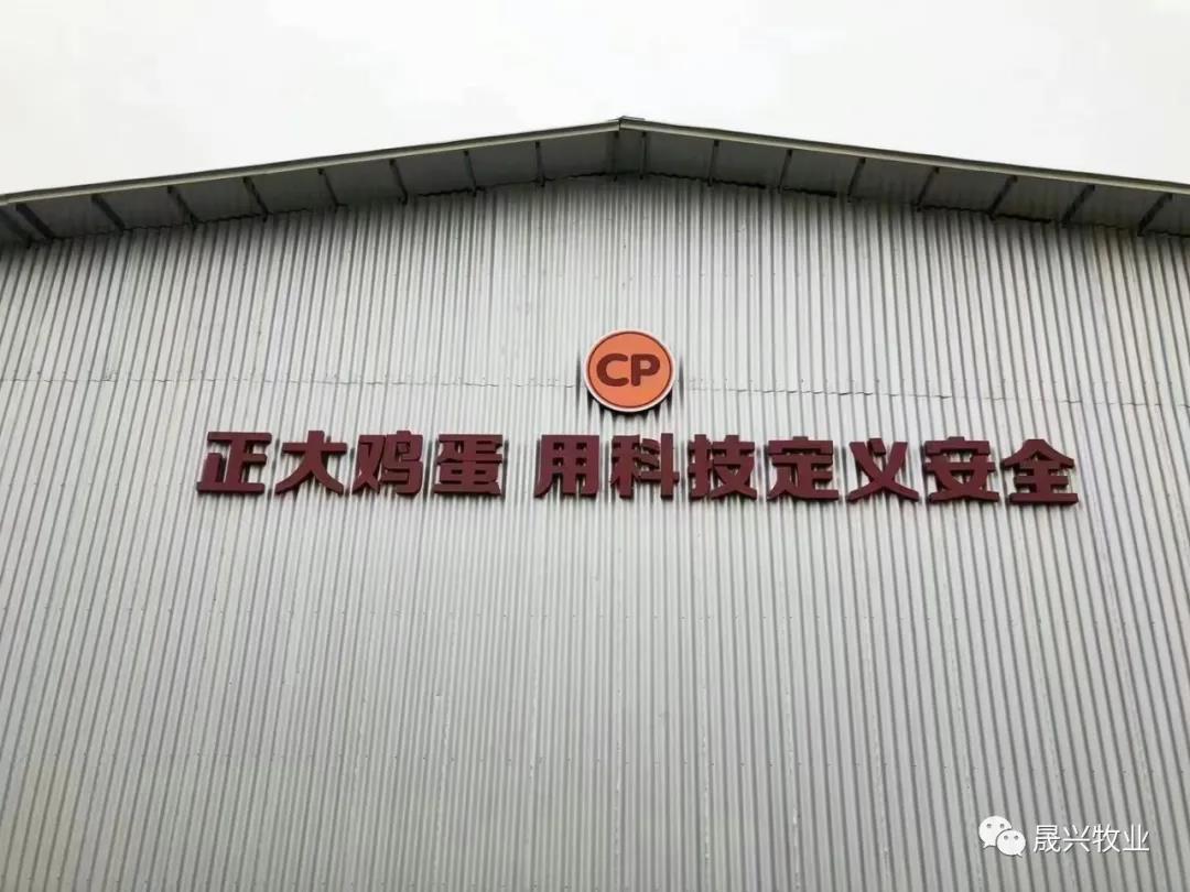 ¿Ê±ÓÎÏ·¡¤(Öйú)¼¯ÍÅ