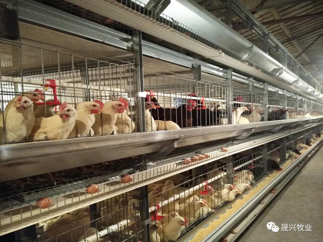 ��ʱ��Ϸ��(�й�)����