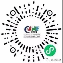 ¿Ê±ÓÎÏ·¡¤(Öйú)¼¯ÍÅ