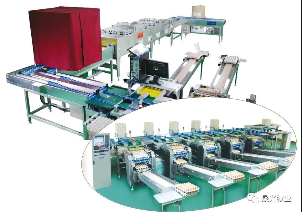 ¿Ê±ÓÎÏ·¡¤(Öйú)¼¯ÍÅ