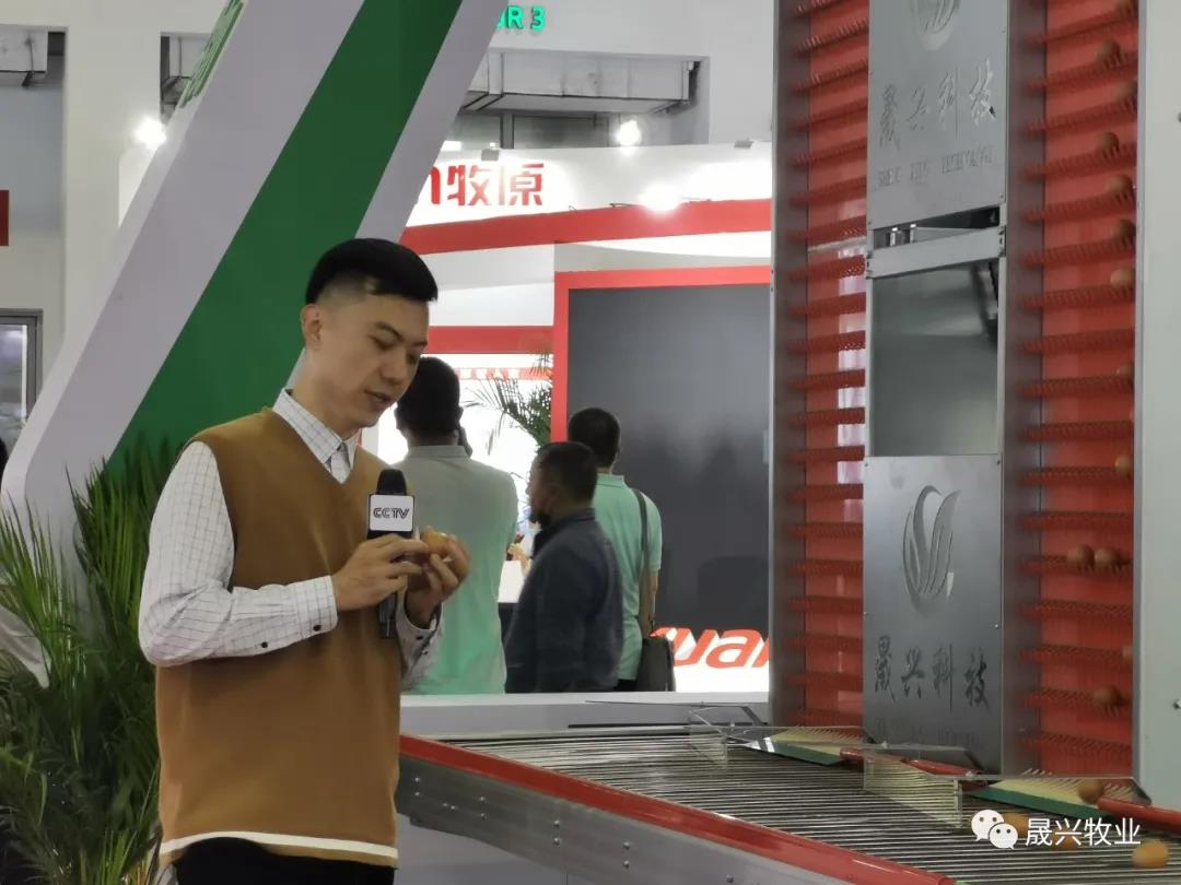 ��ʱ��Ϸ��(�й�)����