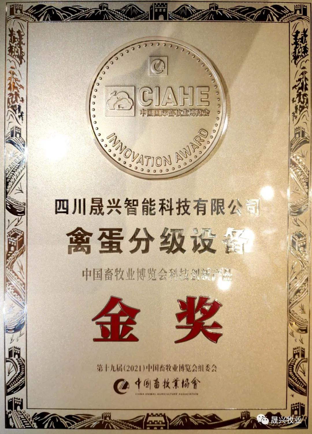 ��ʱ��Ϸ��(�й�)����