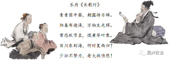 ��ʱ��Ϸ��(�й�)����