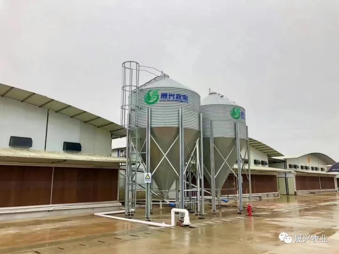 ¿Ê±ÓÎÏ·¡¤(Öйú)¼¯ÍÅ