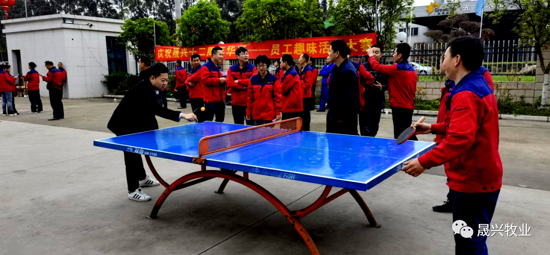 ��ʱ��Ϸ��(�й�)����