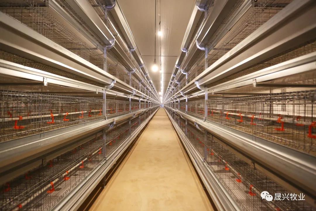 ��ʱ��Ϸ��(�й�)����