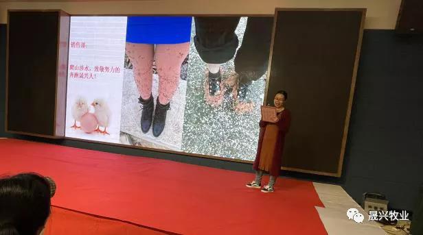 ��ʱ��Ϸ��(�й�)����