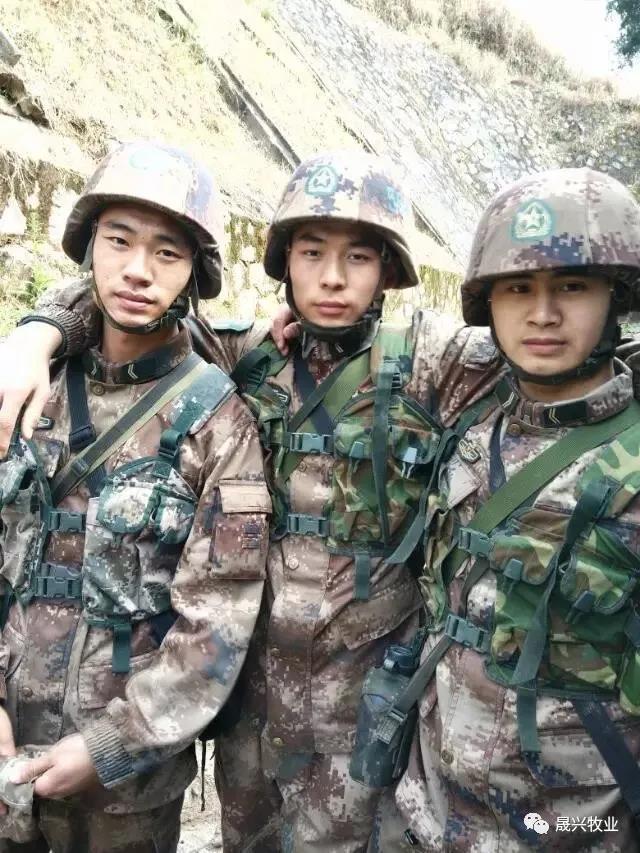 ��ʱ��Ϸ��(�й�)����