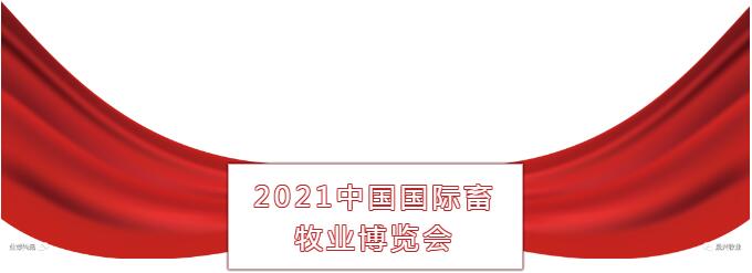 ��ʱ��Ϸ��(�й�)����