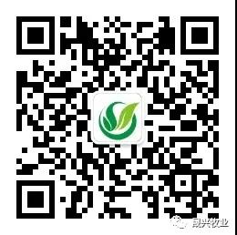 ��ʱ��Ϸ��(�й�)����