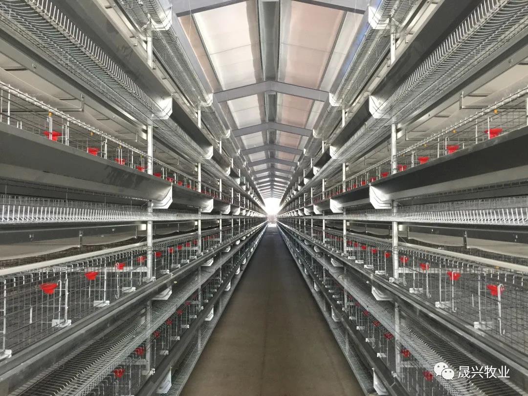 ��ʱ��Ϸ��(�й�)����