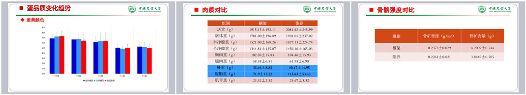 ��ʱ��Ϸ��(�й�)����