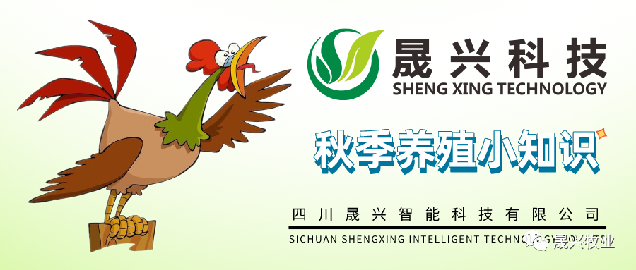 ��ʱ��Ϸ��(�й�)����