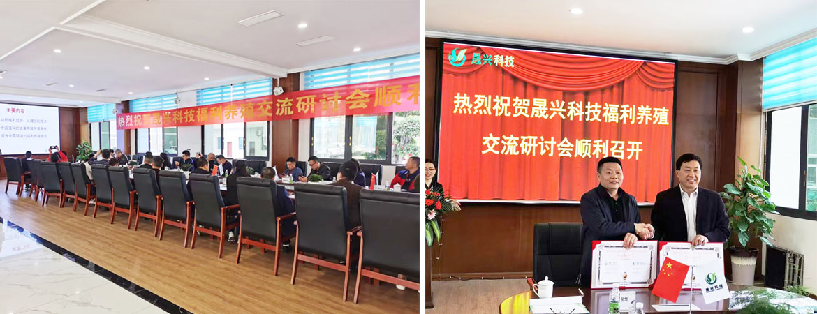 ��ʱ��Ϸ��(�й�)����