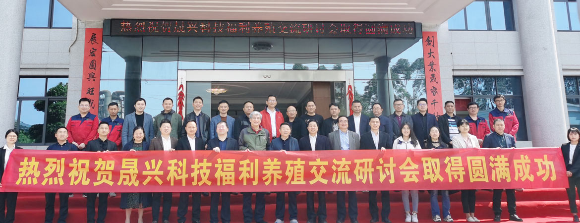 ��ʱ��Ϸ��(�й�)����