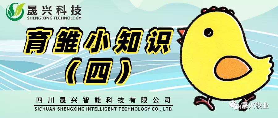 ¿Ê±Ê×Ò³¼¯ÍÅ ¿Ê±Ê×Ò³¼¯ÍÅ