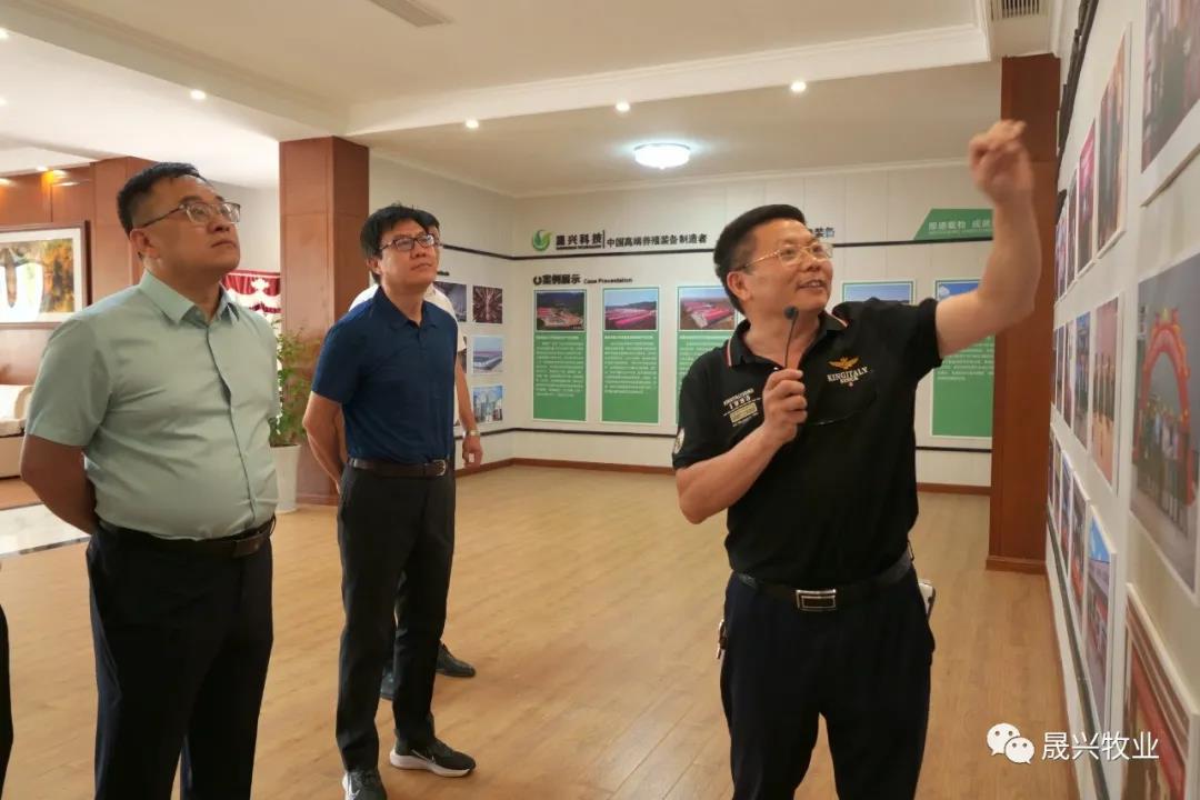 ¿Ê±ÓÎÏ·¡¤(Öйú)¼¯ÍÅ