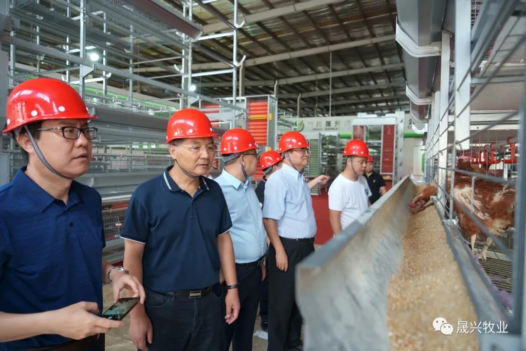 ¿Ê±ÓÎÏ·¡¤(Öйú)¼¯ÍÅ