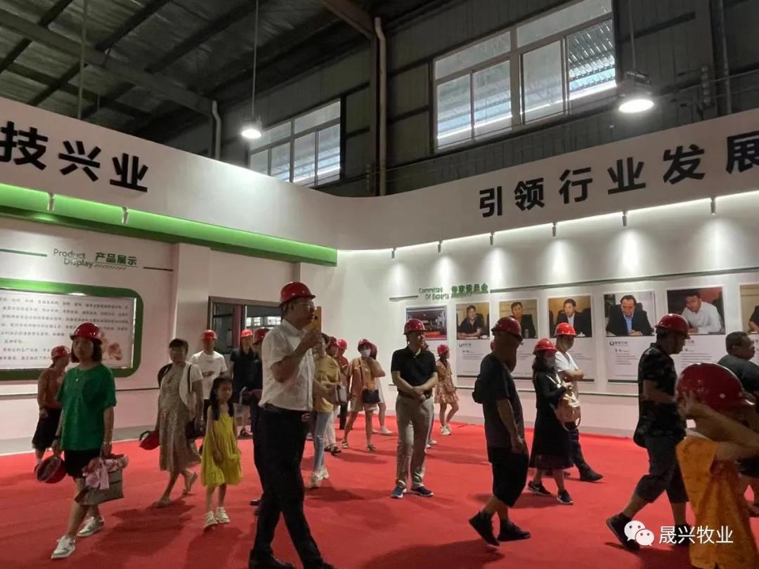 ¿Ê±ÓÎÏ·¡¤(Öйú)¼¯ÍÅ