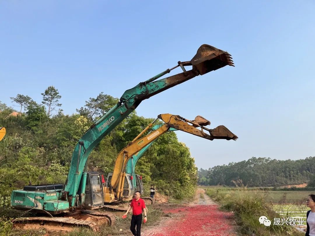 ��ʱ��ҳ����