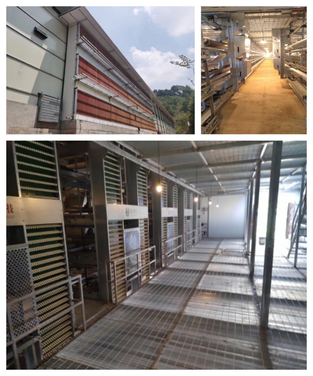 ��ʱ��Ϸ��(�й�)����