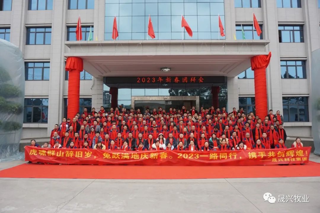 ��ʱ��Ϸ��(�й�)����