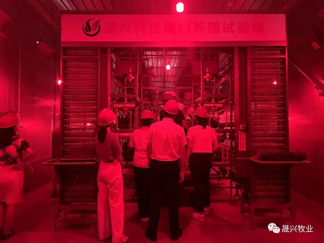 Ñø¼¦É豸 Ñø¼¦É豸