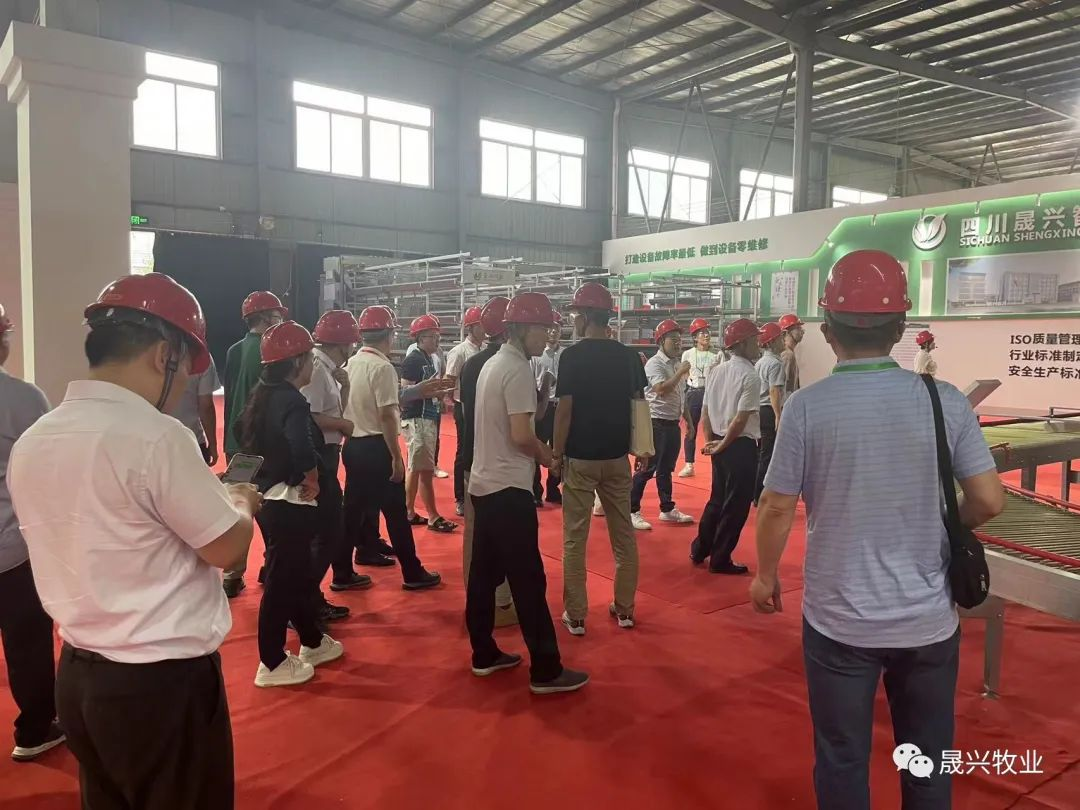 Ñø¼¦É豸 Ñø¼¦É豸