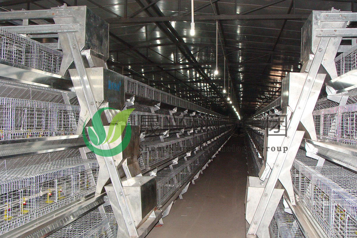 ���꼦��ֳ�豸