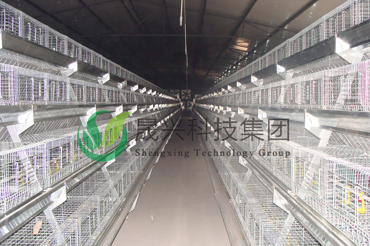 ���꼦��ֳ�豸