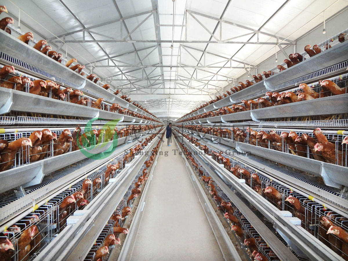 ������ֳ�豸