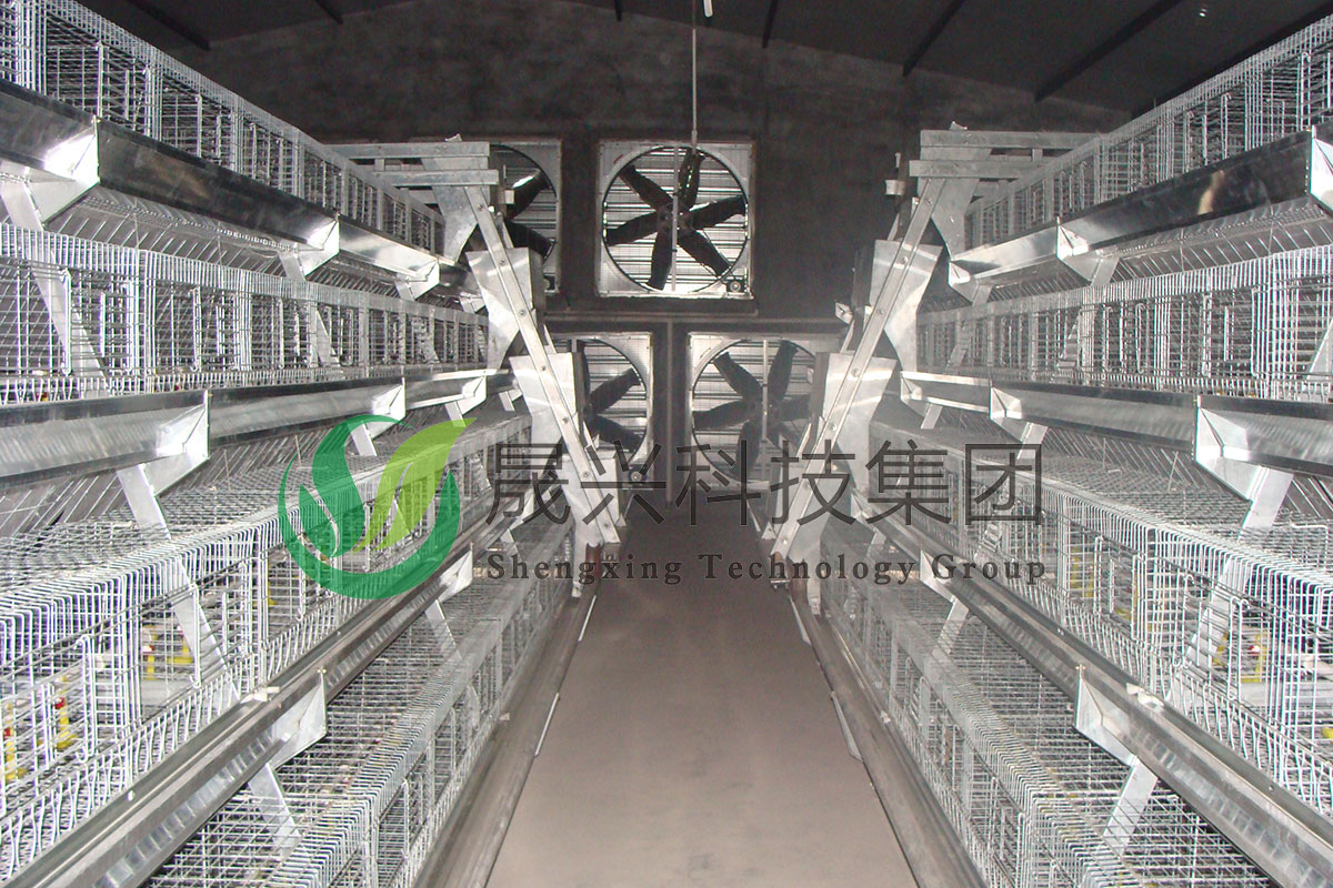 ���꼦��ֳ�豸