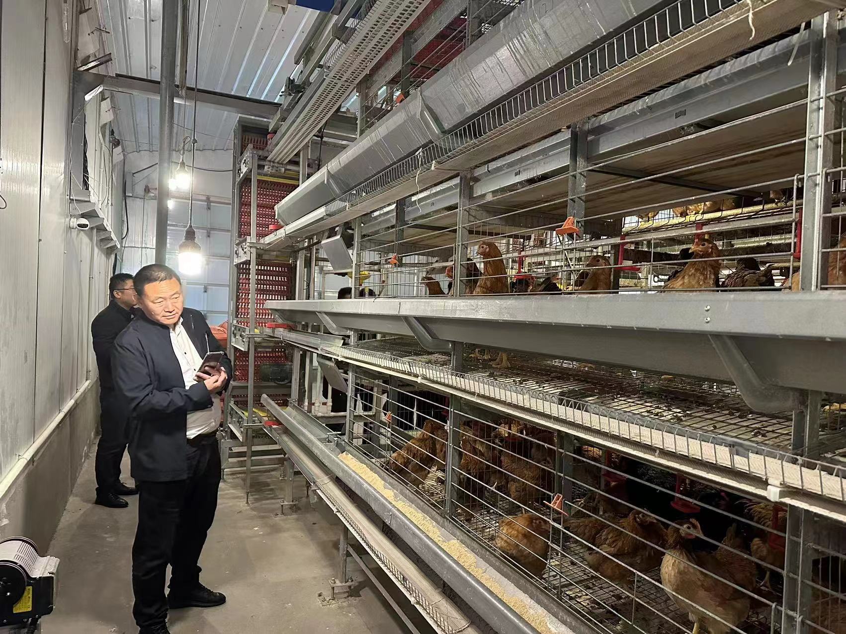 Ñø¼¦É豸 Ñø¼¦É豸