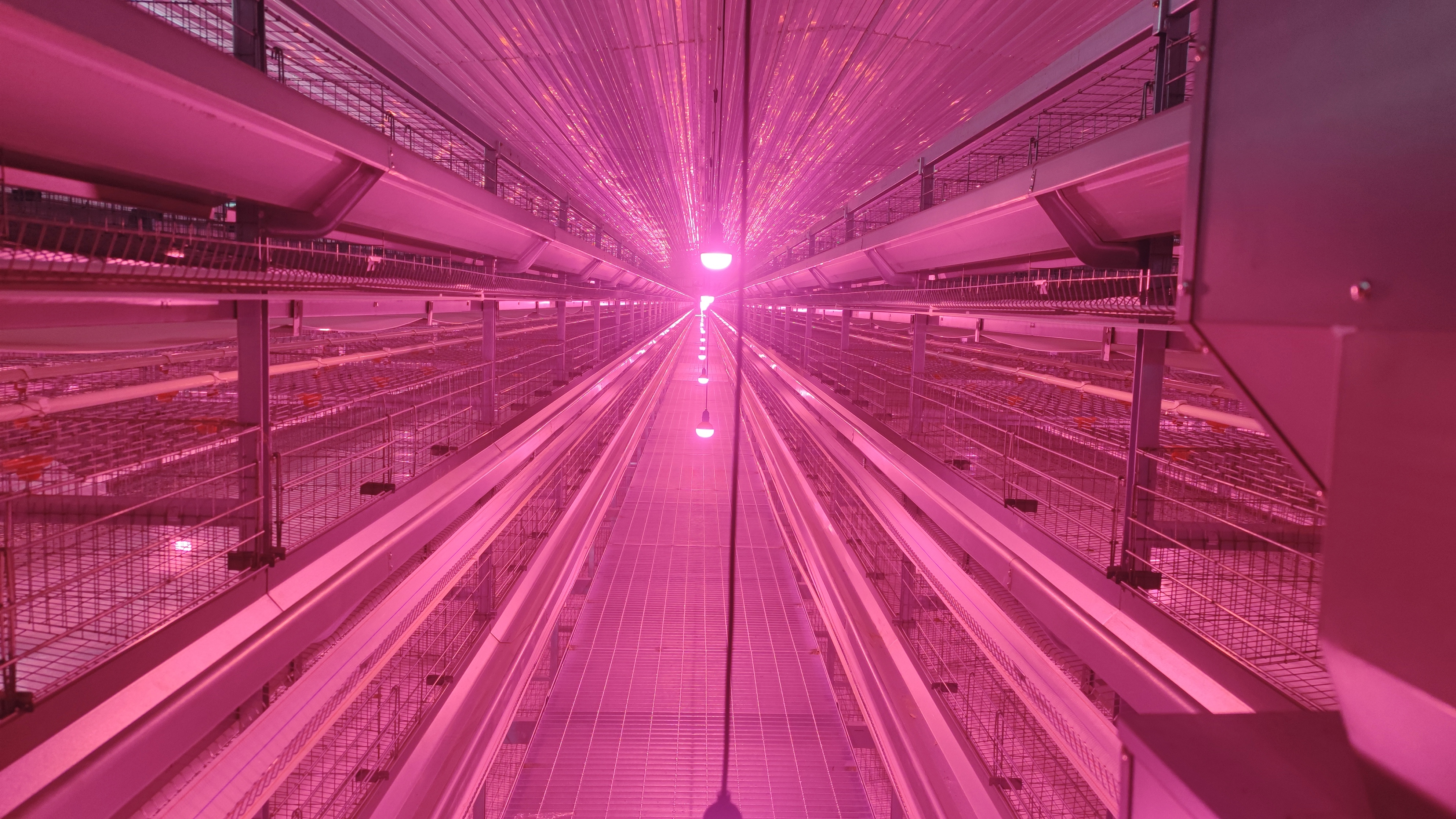 ��ʱ��Ϸ��(�й�)����