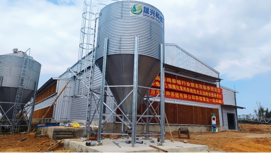 ��ʱ��Ϸ��(�й�)����