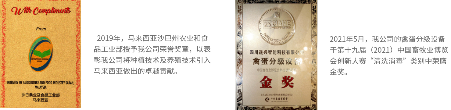 ��ʱ��Ϸ��(�й�)����