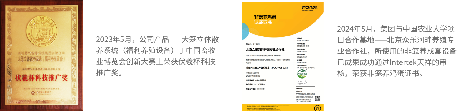 ��ʱ��Ϸ��(�й�)����