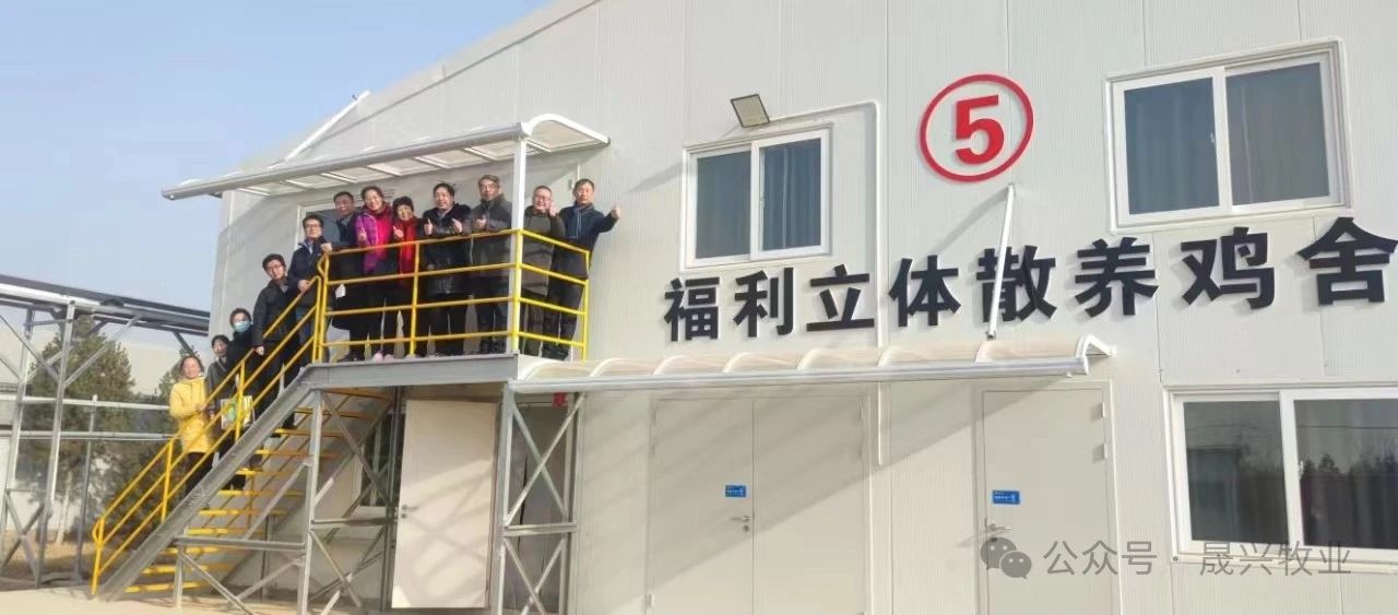 ��ʱ��Ϸ��(�й�)����