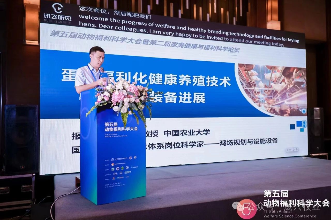 ��ʱ��Ϸ��(�й�)����