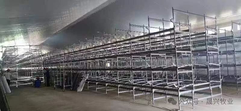 ��ʱ��Ϸ��(�й�)����