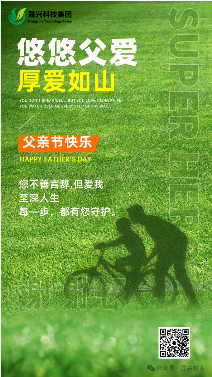 ��ʱ��Ϸ��(�й�)����