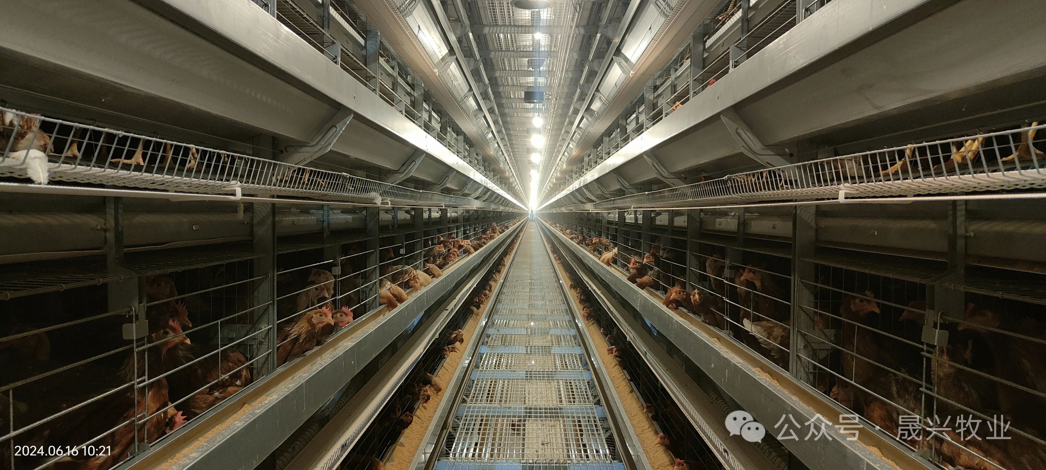 Ñø¼¦É豸 Ñø¼¦É豸