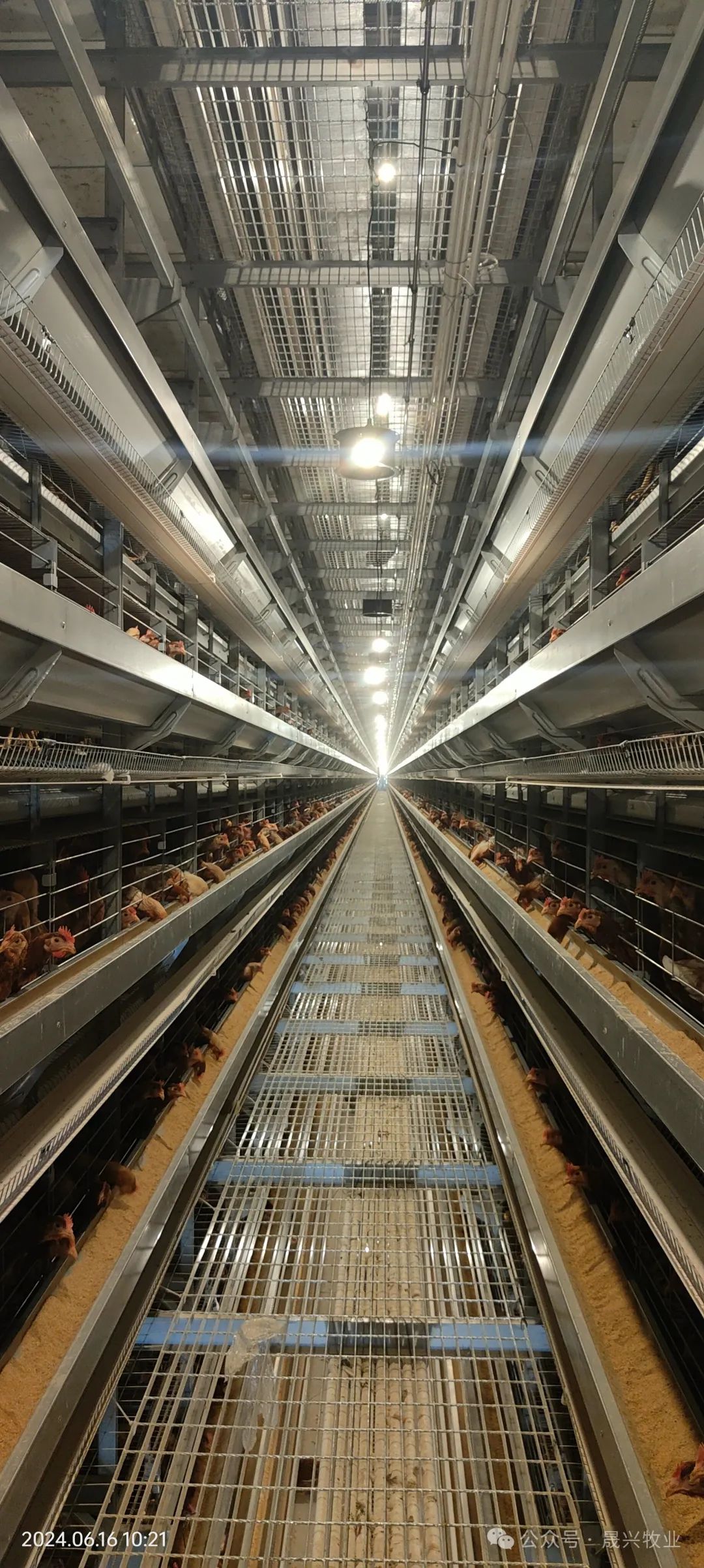 Ñø¼¦É豸 Ñø¼¦É豸