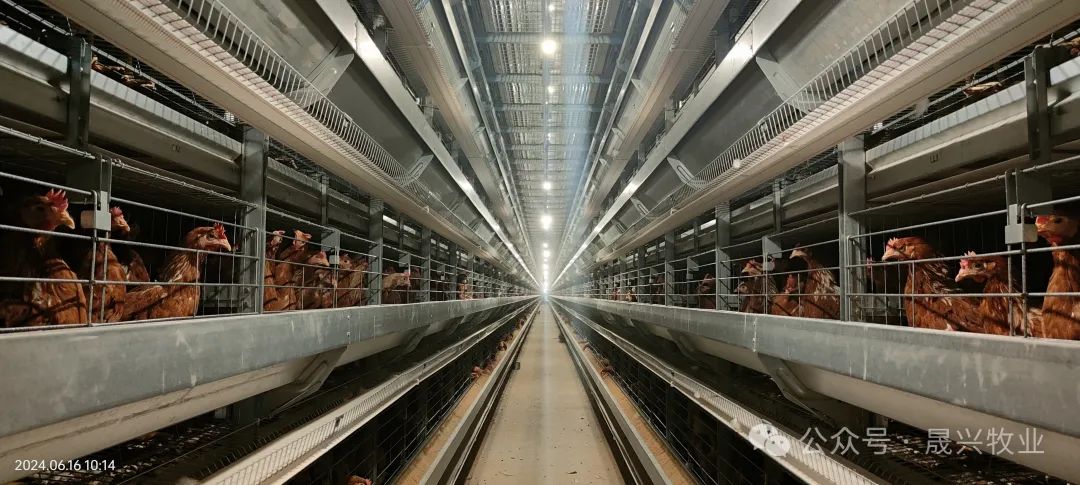 Ñø¼¦É豸 Ñø¼¦É豸