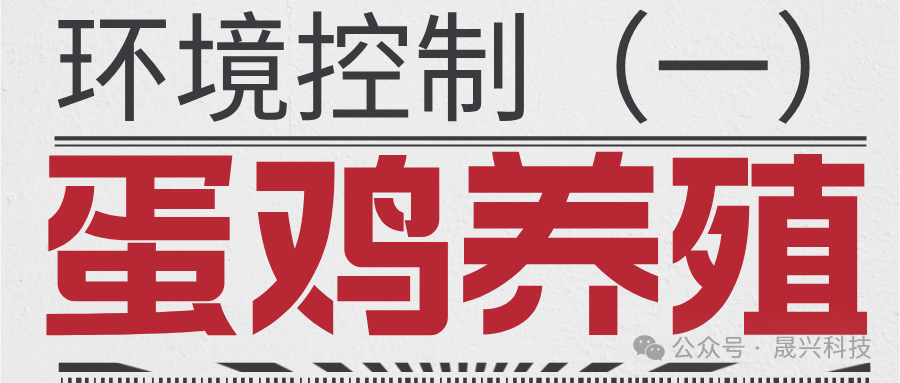 ¿Ê±ÓÎÏ·¡¤(Öйú)¼¯ÍÅ