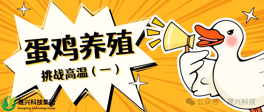 a26b98d86da207be70117f9a84c6f5d5 凯时游戏·(中国)集团