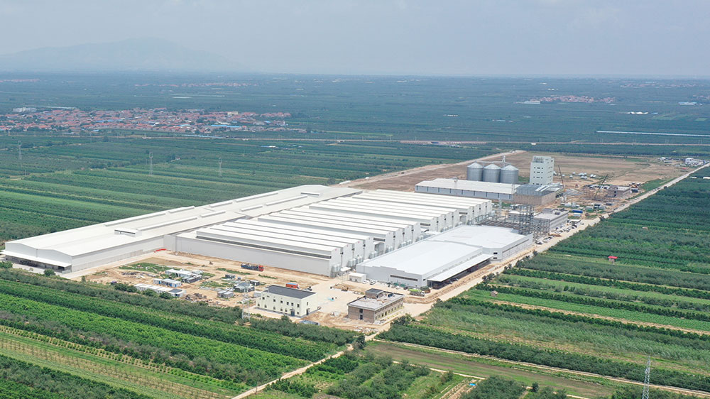 5cbe0f5e23fb40748a7811b140fdf3d6